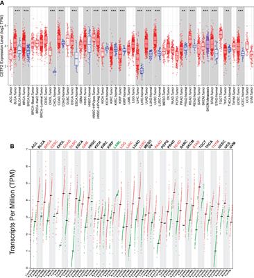 CSTF2 Promotes Hepatocarcinogenesis and Hepatocellular Carcinoma Progression via Aerobic Glycolysis